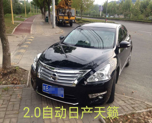 轎車租賃（20）